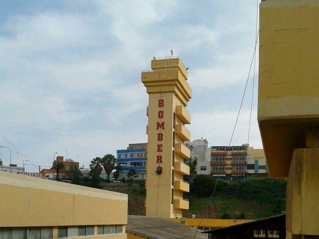 trabajos verticales en las palmas