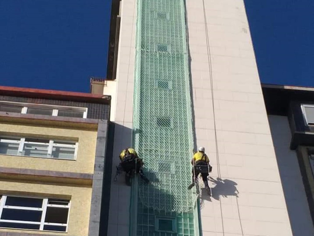 trabajos verticales en las palmas