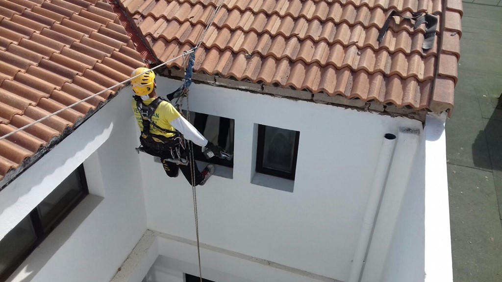 trabajos verticales en las palmas