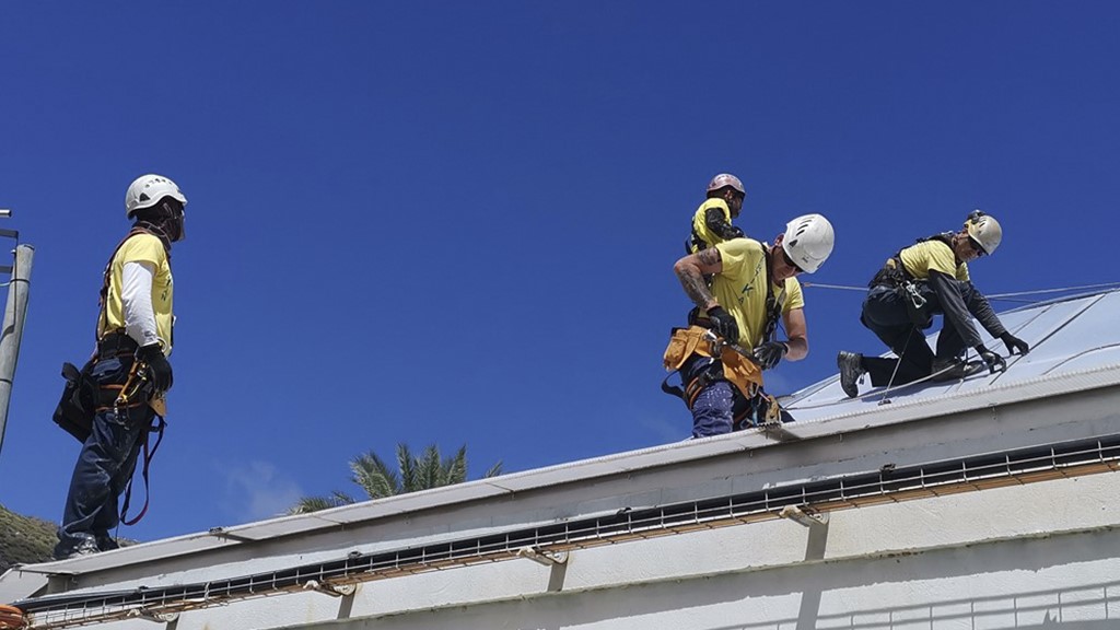 trabajos verticales en las palmas