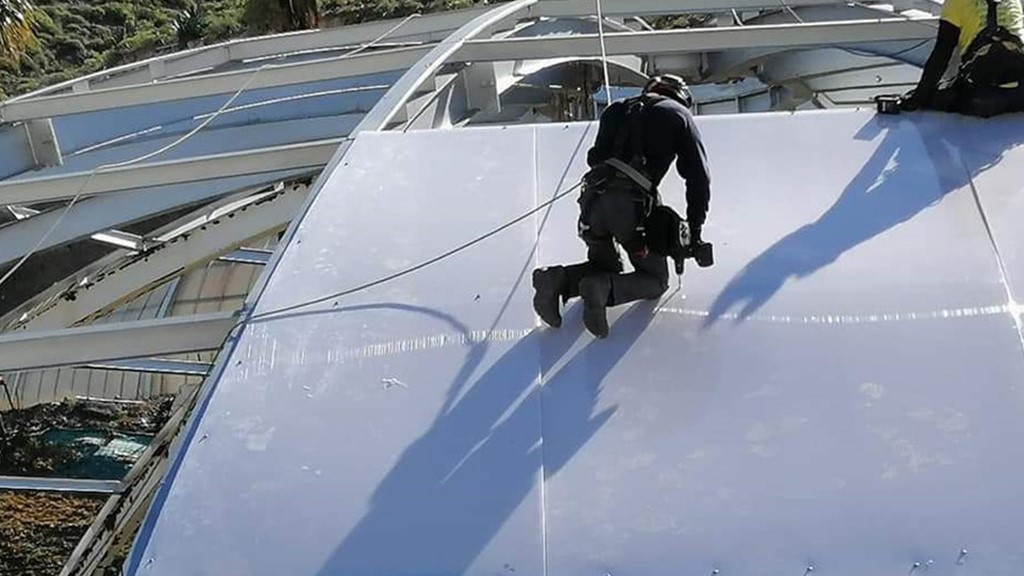 trabajos verticales en las palmas