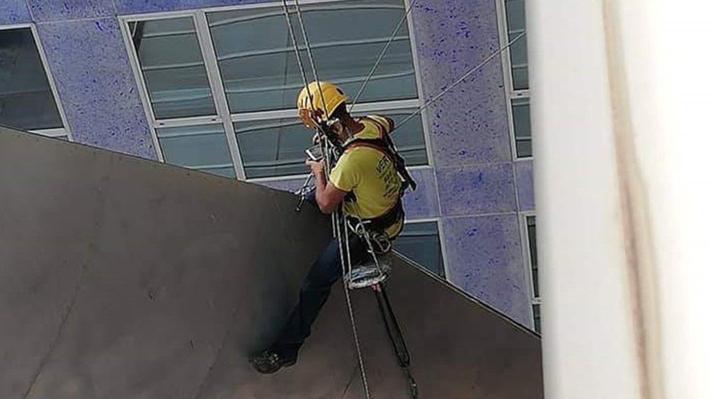 trabajos verticales en las palmas