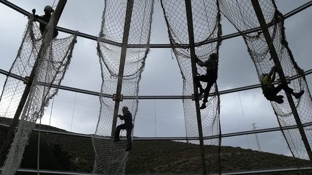 trabajos verticales en las palmas