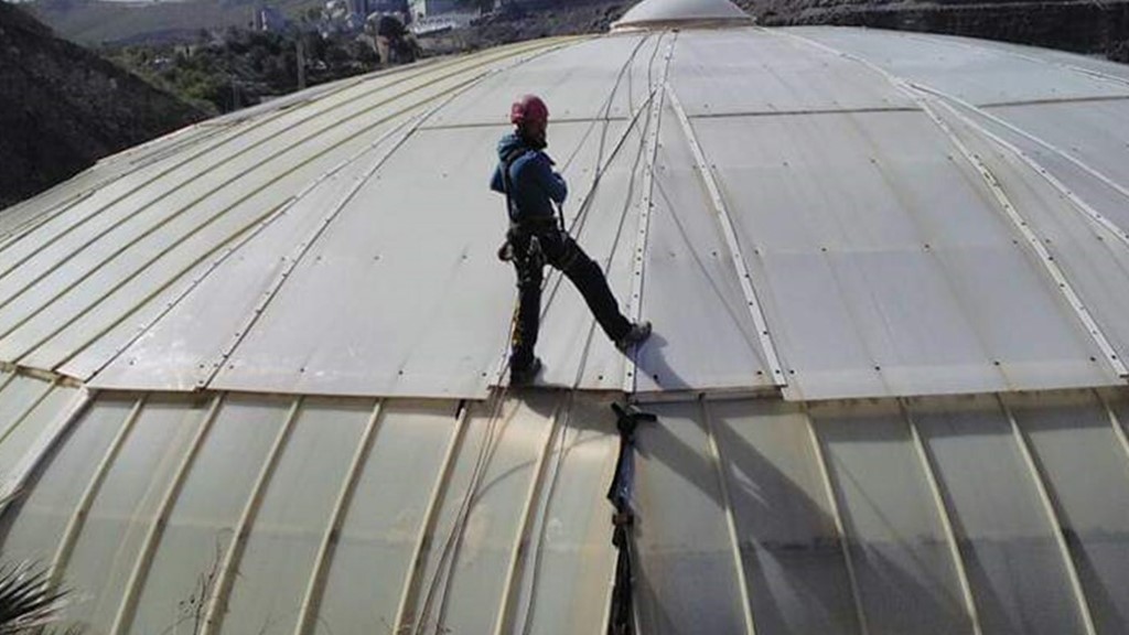 trabajos verticales en las palmas