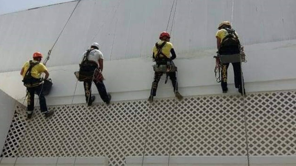 trabajos verticales en las palmas