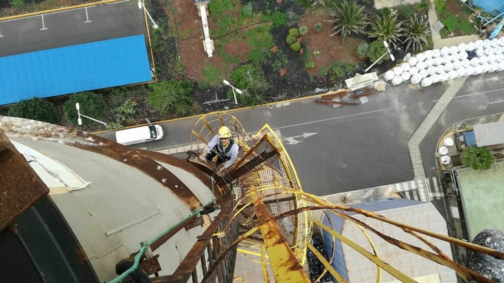 trabajos verticales en las palmas