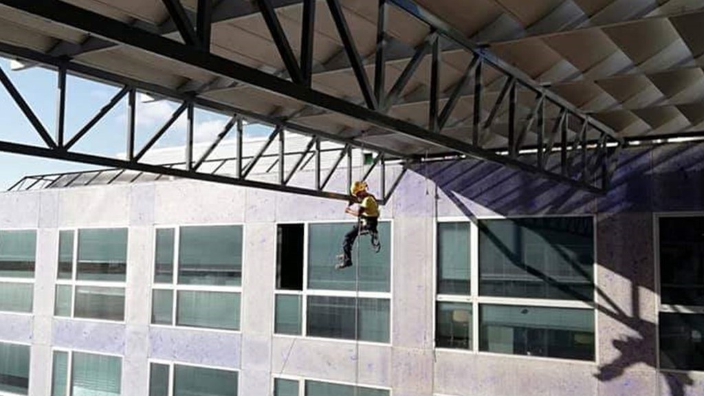 trabajos verticales en las palmas