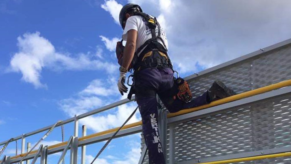 trabajos verticales en las palmas