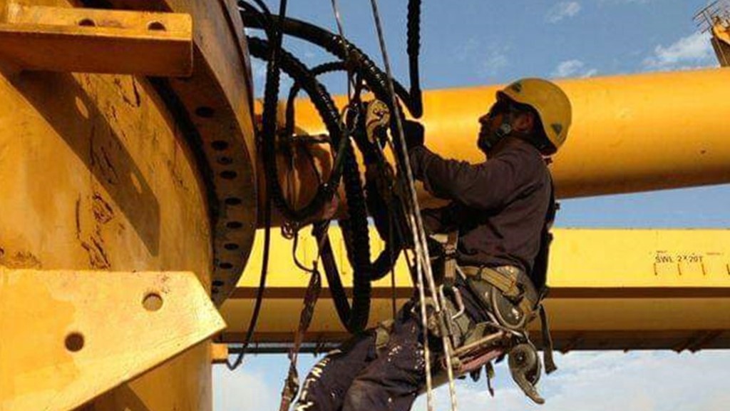 trabajos verticales en las palmas