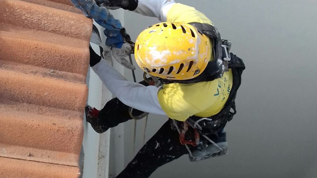 trabajos verticales en las palmas