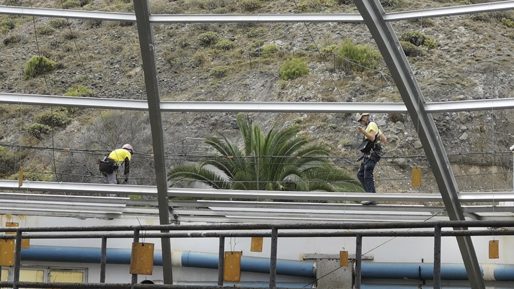 trabajos verticales en las palmas