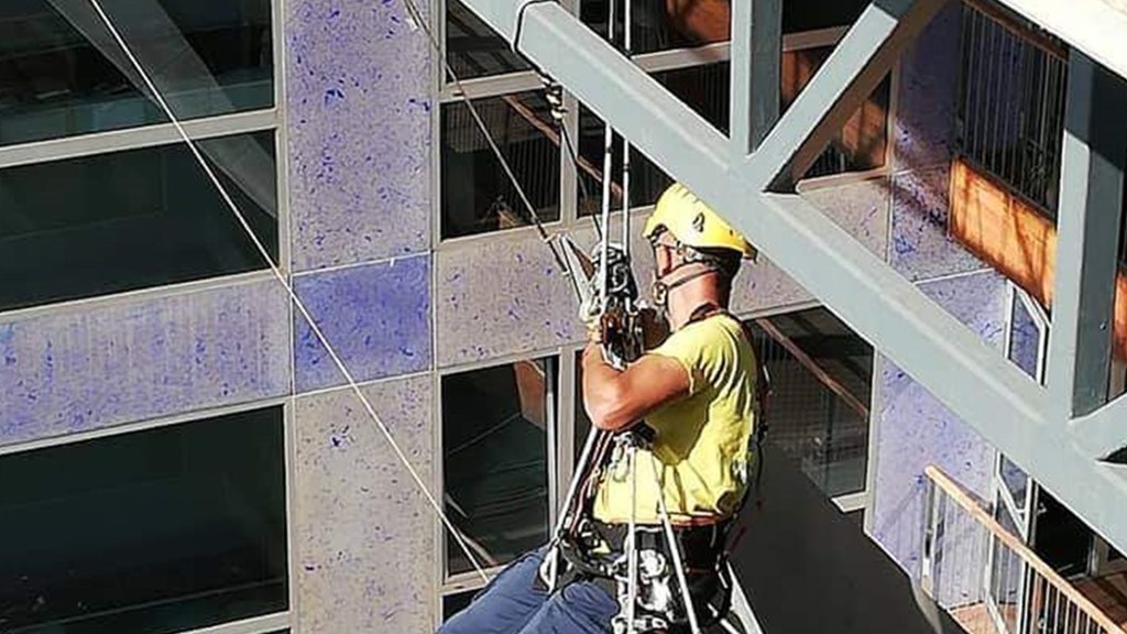 trabajos verticales en las palmas