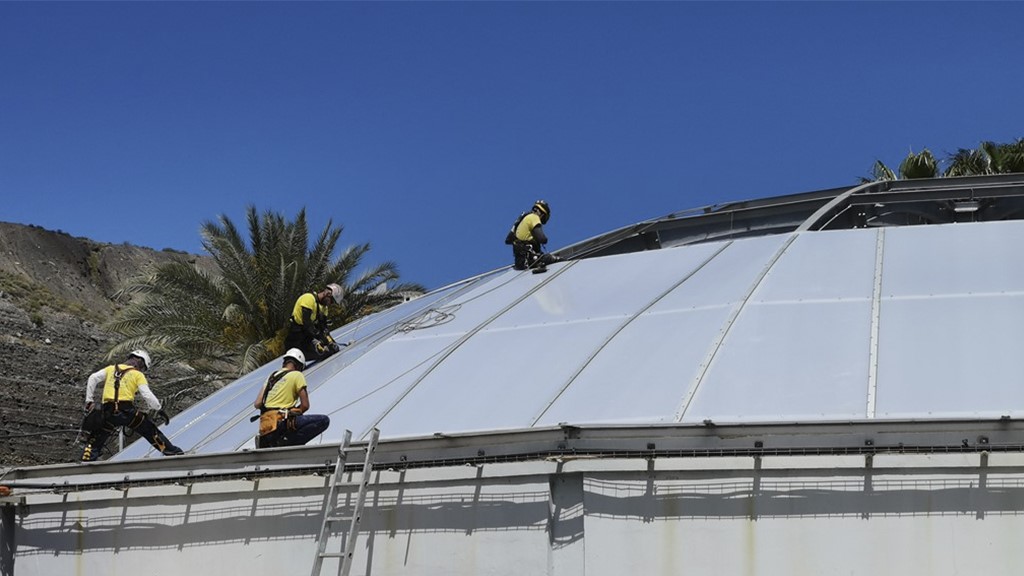 trabajos verticales en las palmas