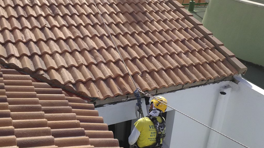 trabajos verticales en las palmas