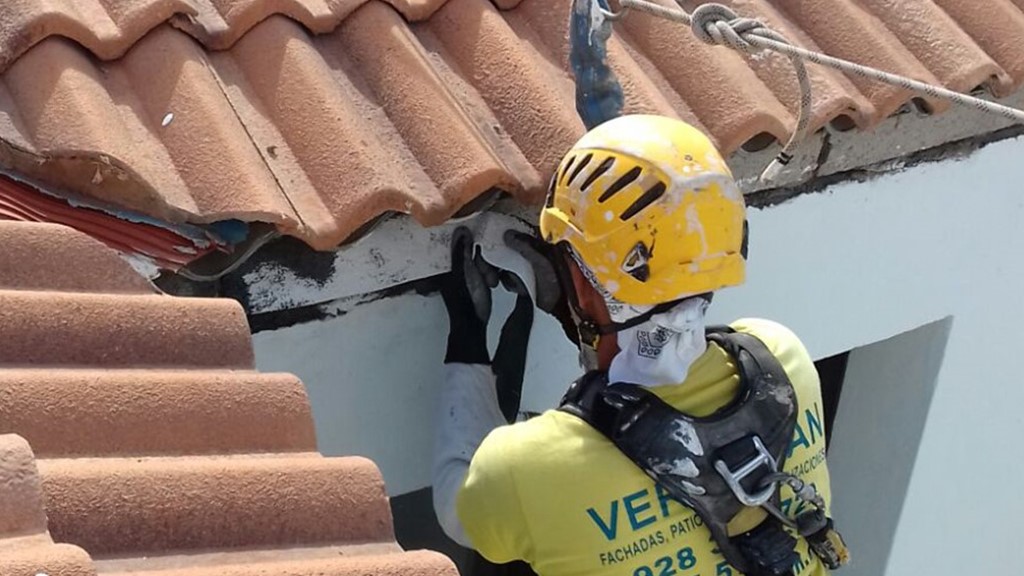 trabajos verticales en las palmas