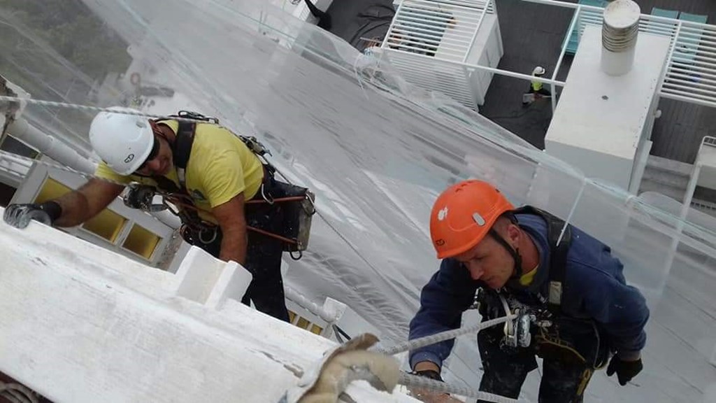 trabajos verticales en las palmas