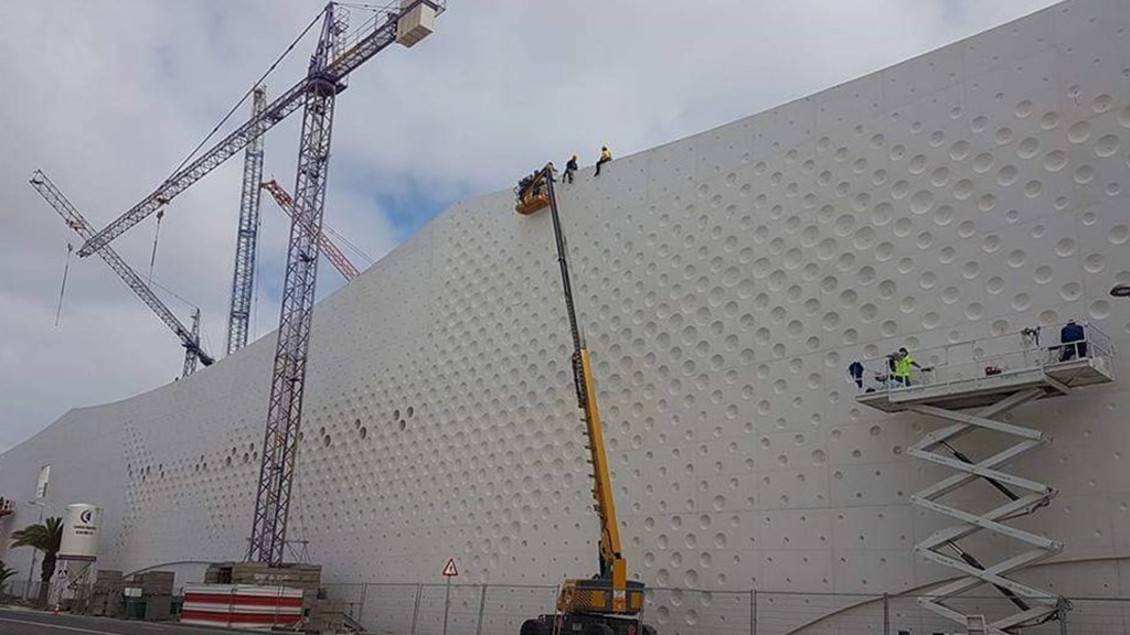 trabajos verticales en las palmas